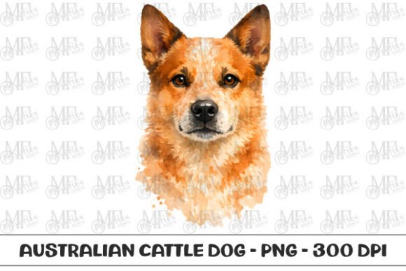 Crafting with Canine Charm: The Red Heeler Watercolor Portrait PNG